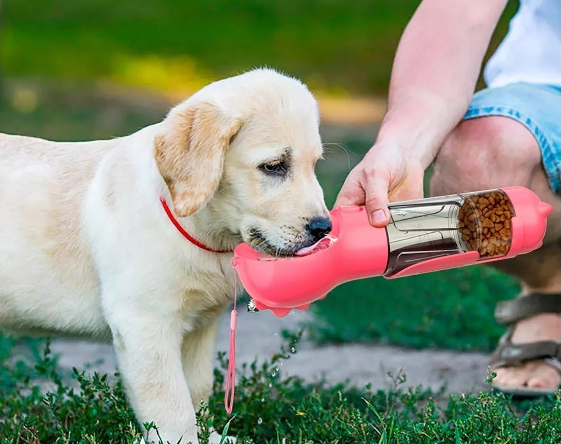 Botella Multifuncional Para Mascotas 5 en 1